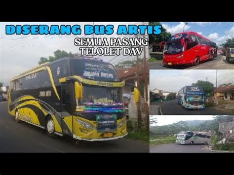 MELEDAKK KEDATANGAN BUS ARTIS KE PAMIJAHAN FULL MENYALAKAN TELOLET