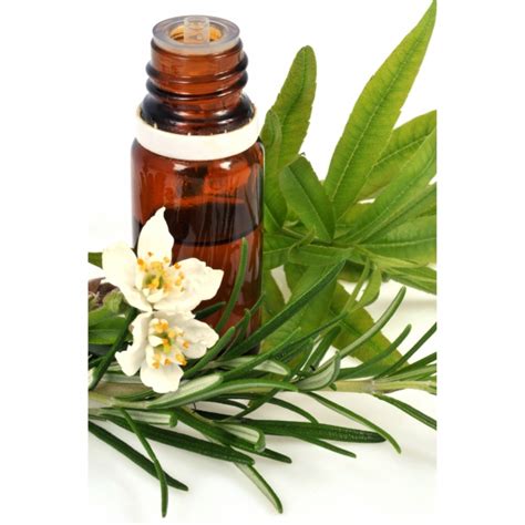 Eucalyptus Citronn Bio Ml Huile Essentielle Sentier Nature