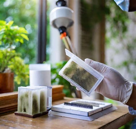 5 Common Mistakes in Mould Air Sample Analysis to Avoid