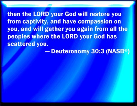 Deuteronomy 30:3 That then the LORD your God will turn your captivity ...