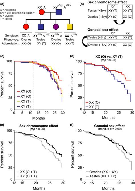Female XX Sex Chromosomes Increase Survival And Extend Lifespan In