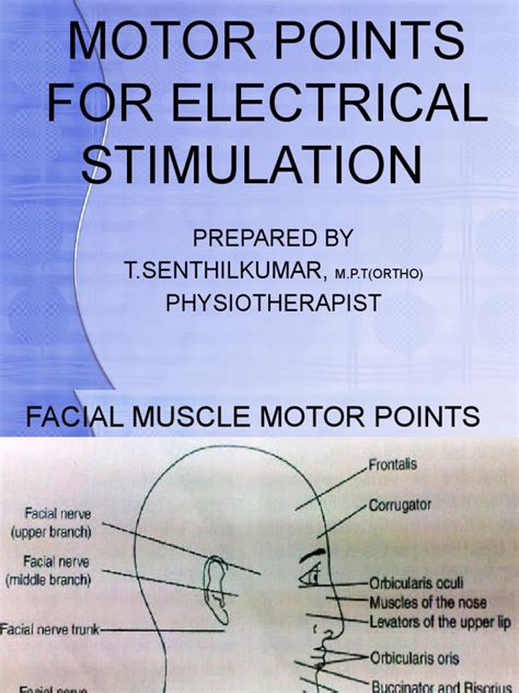 Motor Points For Electrical Stimulation Pdf