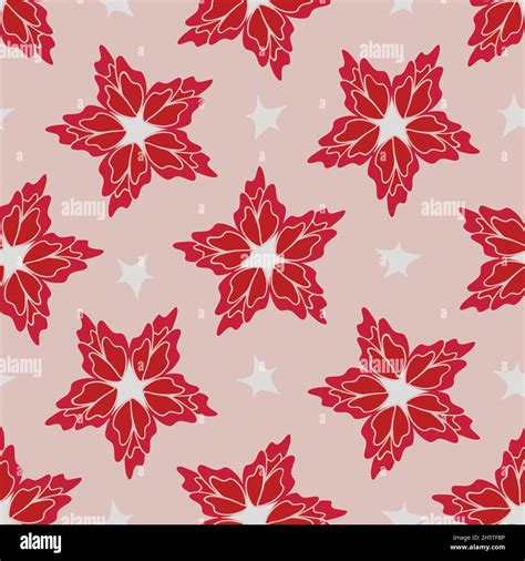 Pink Poinsettia Stock Vector Images Alamy