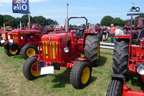 David Brown 850 Österreich Traktor Foto 933755