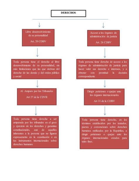 Mapa Conceptual Constitucional Pdf