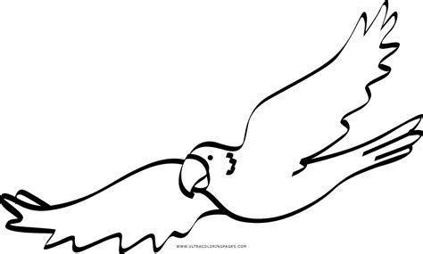 Uccello Disegni Da Colorare Ultra Coloring Pages