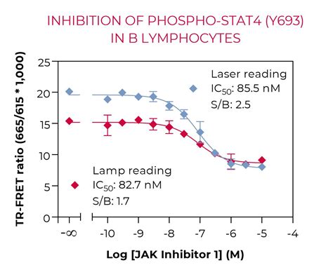 THUNDER Phospho STAT4 Y693 TR FRET Cell Signaling Assay Kit