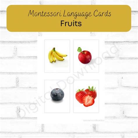 Montessori Language Cards Fruits Etsy