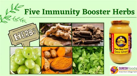 Boost Your Immunity With 5 Ayurvedic Herbs