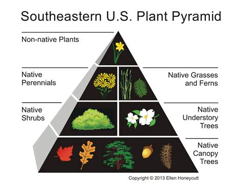 Using Georgia Native Plants: Native Landscape Pyramid