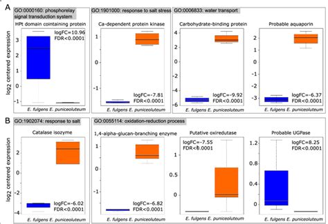 Expression levels of key transcripts underlying enriched gene ontology ...