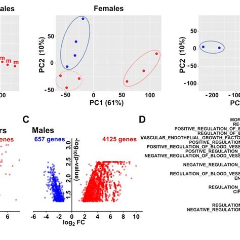 Sex Specific Changes In The Global Transcriptional Signature In The