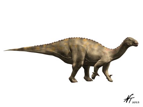 Lurdusaurus Pictures & Facts - The Dinosaur Database