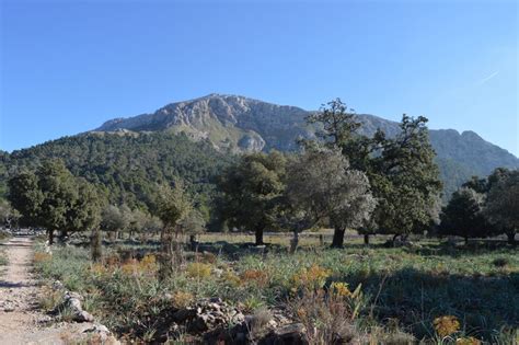 Per la Serra de Tramuntana a Binifaldó i Menut Fora Vila