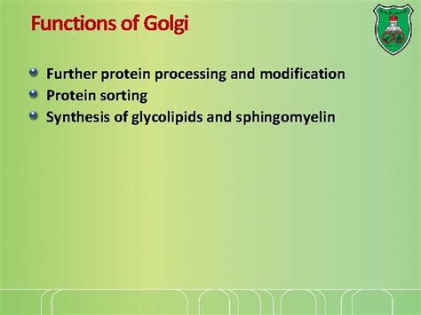 Lecture Protein Sorting Golgi Apparatus And Vesicular