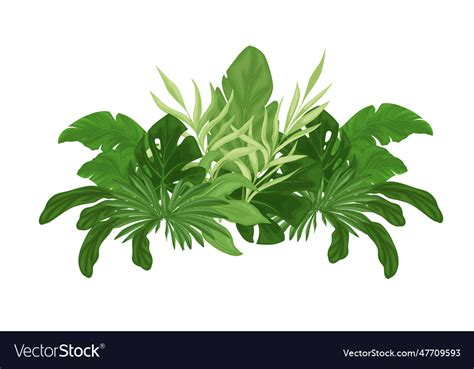 Tropical seamless with palm leaves Royalty Free Vector Image