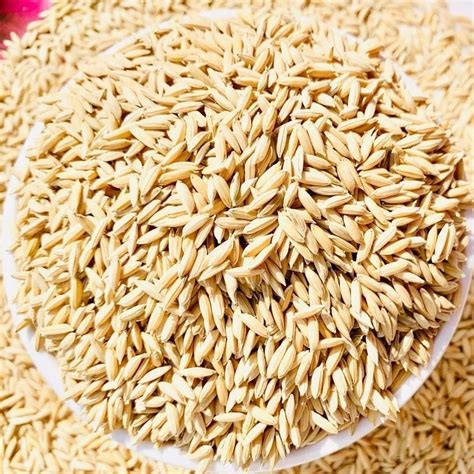 Natural Brown Rnr Paddy Seeds For Agriculture Packaging Type