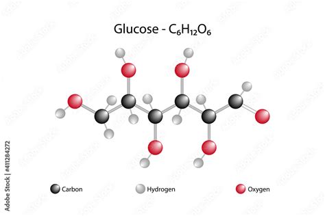 Chemical structure of glucose. Sugar, carbohydrates Stock Vector ...