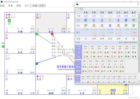 道显紫微斗数排盘v14 楚天云阔四化排盘软件 支持三合、八字 Csdn博客