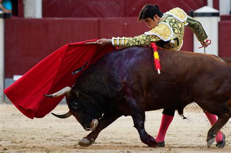 Events With Matadores NYT: A Captivating Exploration Into The World Of ...