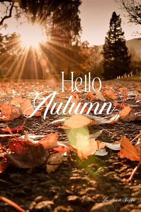 Pin By Alycia Nichols On Wallpapers In 2024 Hello Autumn Cute Fall