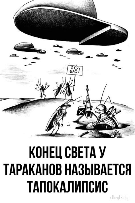 Оригинальные картинки про ТАРАКАНОВ с юмором и надписями