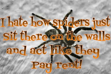 Spider Quotes And Sayings Quotesgram