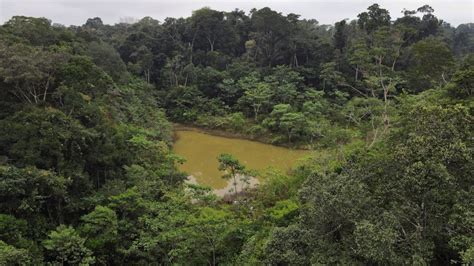 Al menos cinco muertos tras caer un microbús en el río Amazonas en