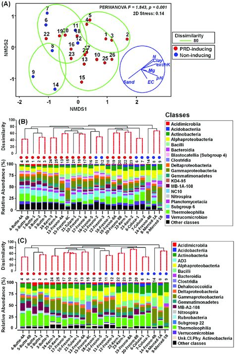 Characterization Of Soil Bacterial Community Relationships And