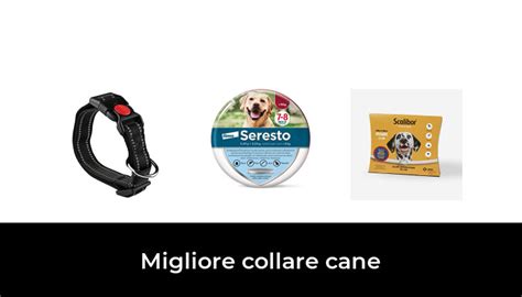 Migliore Collare Cane Nel In Base A Recensioni