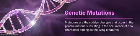 How Do Viruses Mutate And Why Does It Matter Glossary