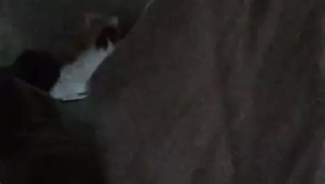 Free Roller Porn Videos XHamster