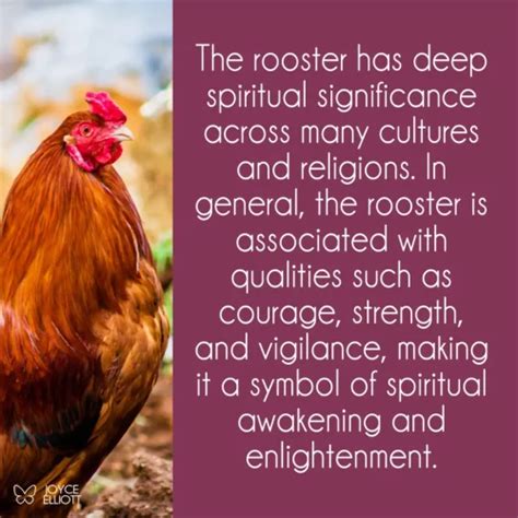 Rooster Symbolism: 5 Remarkable Meanings Across Various Cultures - Joyce Elliott