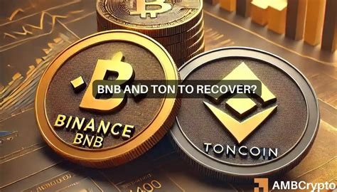 Binance Toncoin Shed Gains A Rough Start To The Week For Top Cryptos