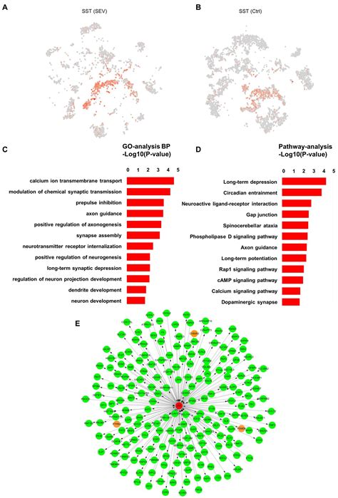 Frontiers Inhibitory Neuron Map Of Sevoflurane Induced Neurotoxicity