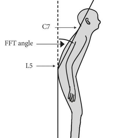 Diagrams illustrating measurement of (a) forward flexion of the trunk ...