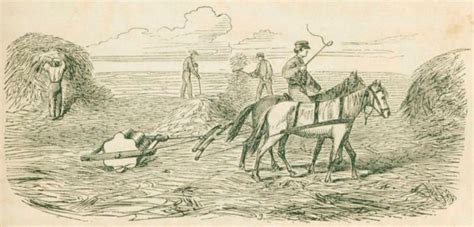 Старинная молотилка для зерна. Раритет