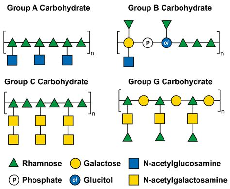 Pharmaceuticals Free Full Text Antibiotics And Carbohydrate Containing Drugs Targeting