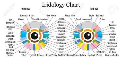 How To Iridology Diagnosis Chart When Everything Totally Iridology