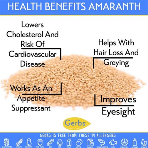 Gerbs White Amaranth Grain 2 Lbs Premium Grade Top 14 Food Allergy