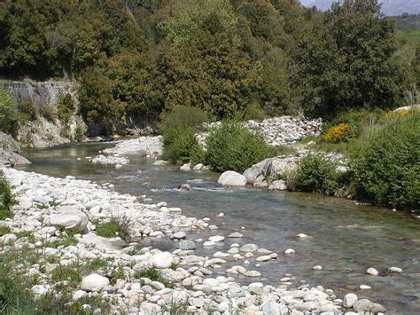 Corsica Fleuves et Rivieres Corse La Gravona est une rivière de la