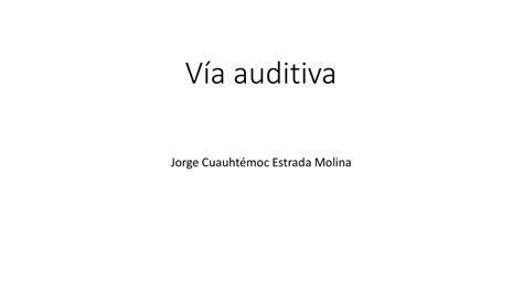 V A Auditiva Jorge Cuauht Moc Estrada Molina Udocz