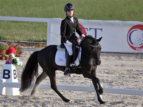 Concurso Nacional De Doma Cl Sica Copa Ancce En Torredembarra