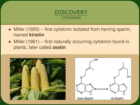 Cytokinins