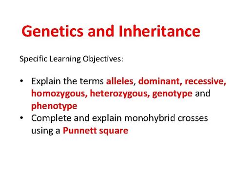 Genetics And Inheritance Specific Learning Objectives Explain The