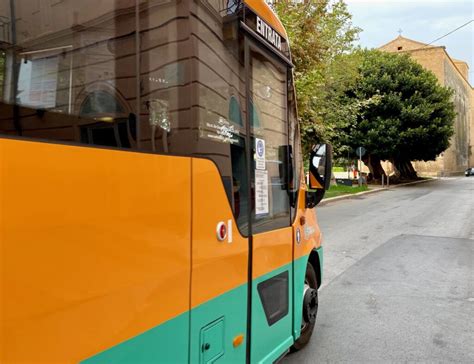 Attivate Due Linee Di Bus Navetta Per Raggiungere Il Sito Del Carnevale