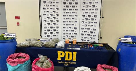 Golpe Contundente al Narcotráfico PDI Incauta 30 Kilos de Marihuana en