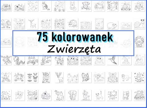 75 kolorowanek ZWIERZĘTA Pokoloruj Świat