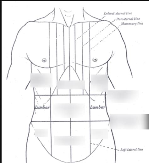 Diagram Of Abdominal Planes Quizlet