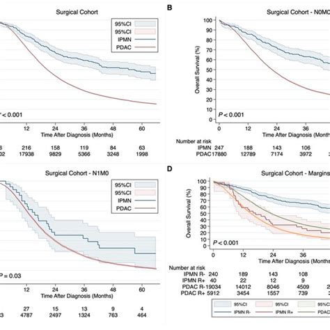 Kaplanmeier Curves Demonstrating Differences In Overall Survival In